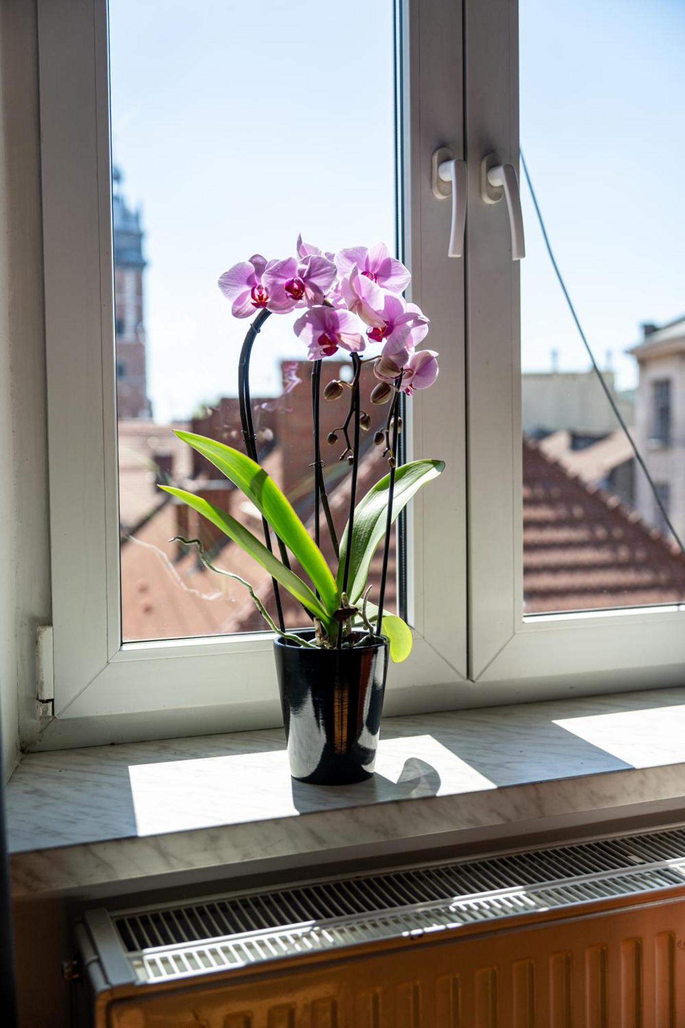 Vista View Apartment Krakow Bagian luar foto